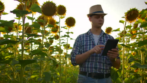 La-Cámara-Sigue-Y-Mueve-A-Un-Granjero-Con-Una-Tableta.-El-Agricultor-Se-Pone-Delante-De-La-Cámara-Con-Una-Tableta-Y-Utiliza-Tecnología-Moderna-Para-Su-Pequeña-Empresa.