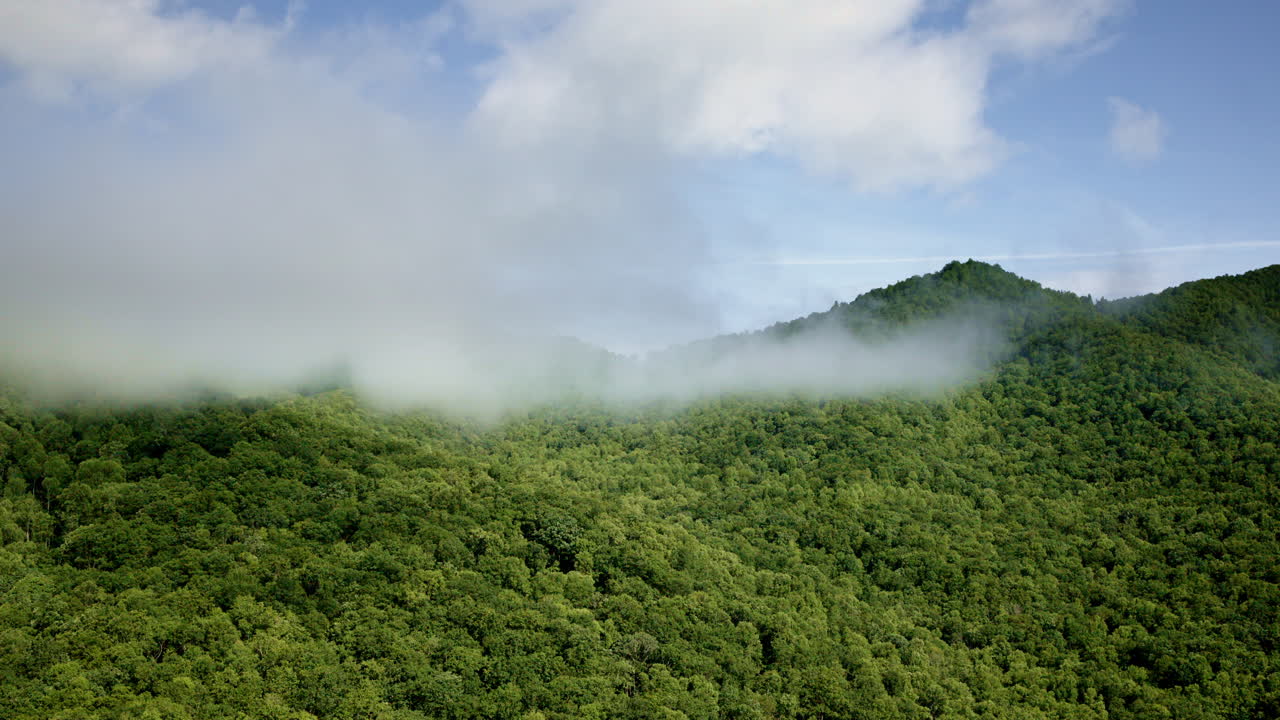 Drone footage soaring over fog-laden ridges in the Smoky Mountains, NC
