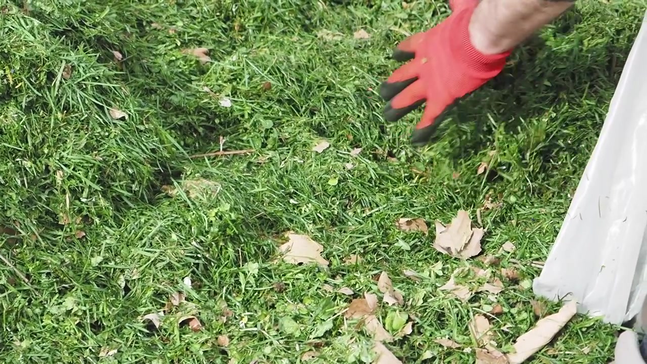 Close-up of Hand in Red Glove Raking Grass Clippings