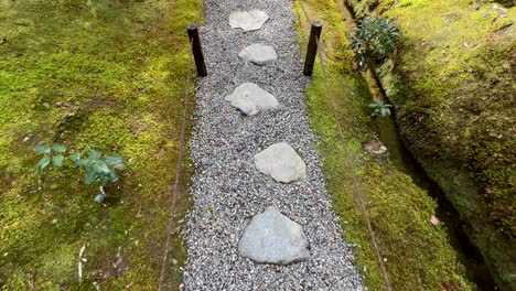 camino a través del jardín de musgo del templo de saihoji kokedera en kyoto, japón