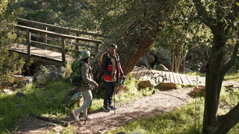 Nature,-hiking-and-friends-in-forest