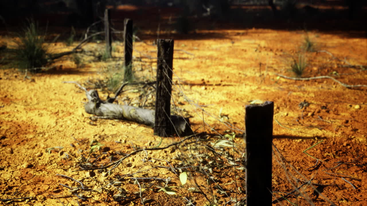 Desert landscape featuring weathered posts and earthy tones under warm light