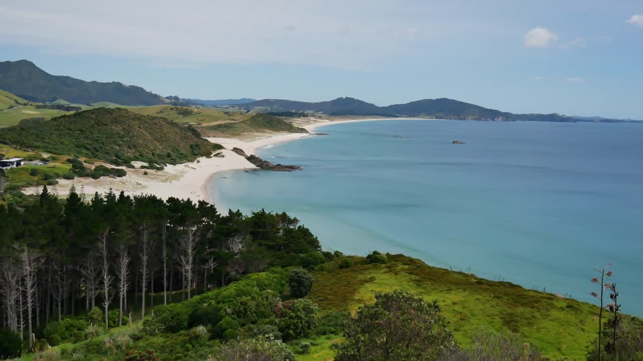 Aerial pan shot of beautiful ocean landscape with sandy beach and forest trees growing on hills during sunlight - Te Whara Track,Maori in New Zealand