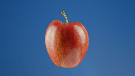 la mitad de la manzana girando frente al fondo del estudio