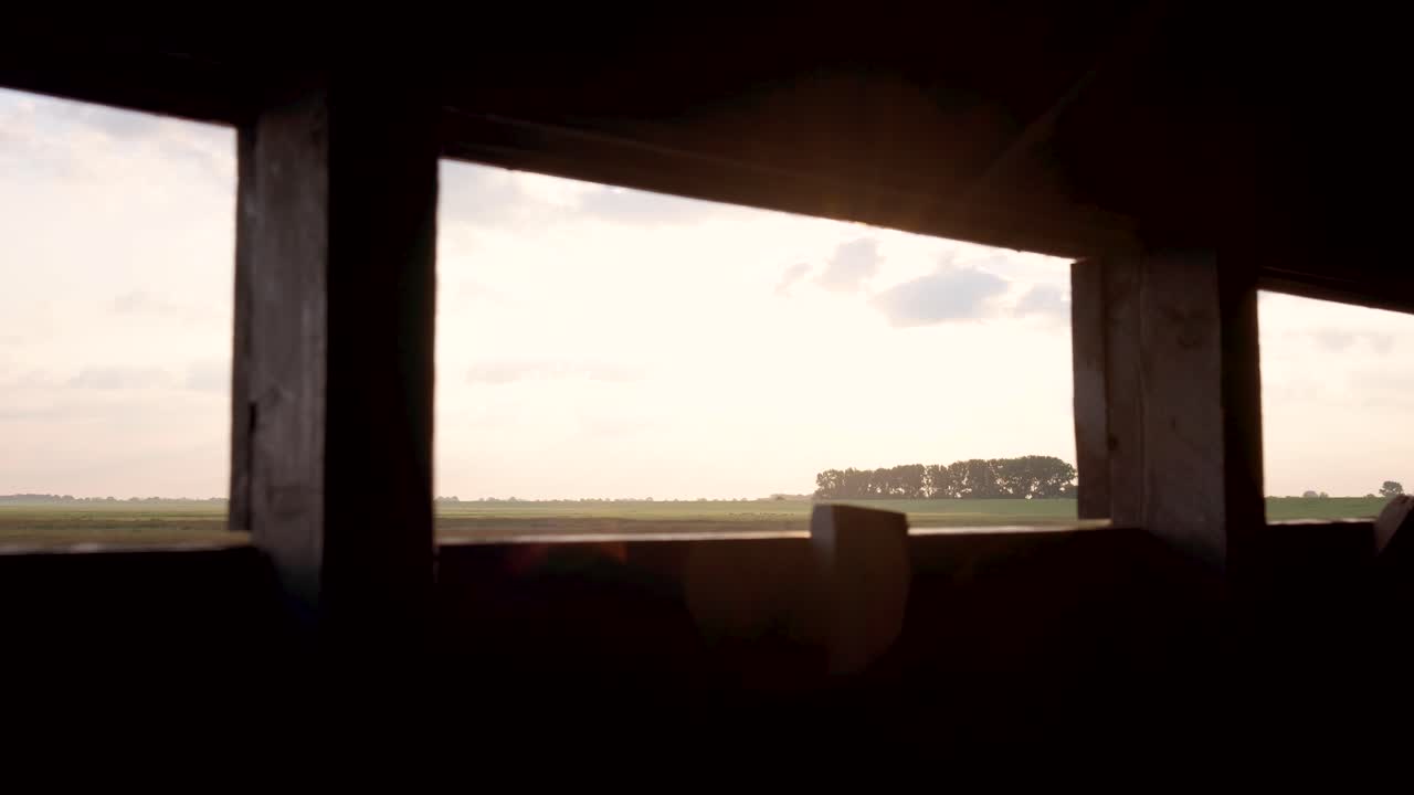 Panoramic View of a Serene Field at Golden Hour from a Rustic Blind