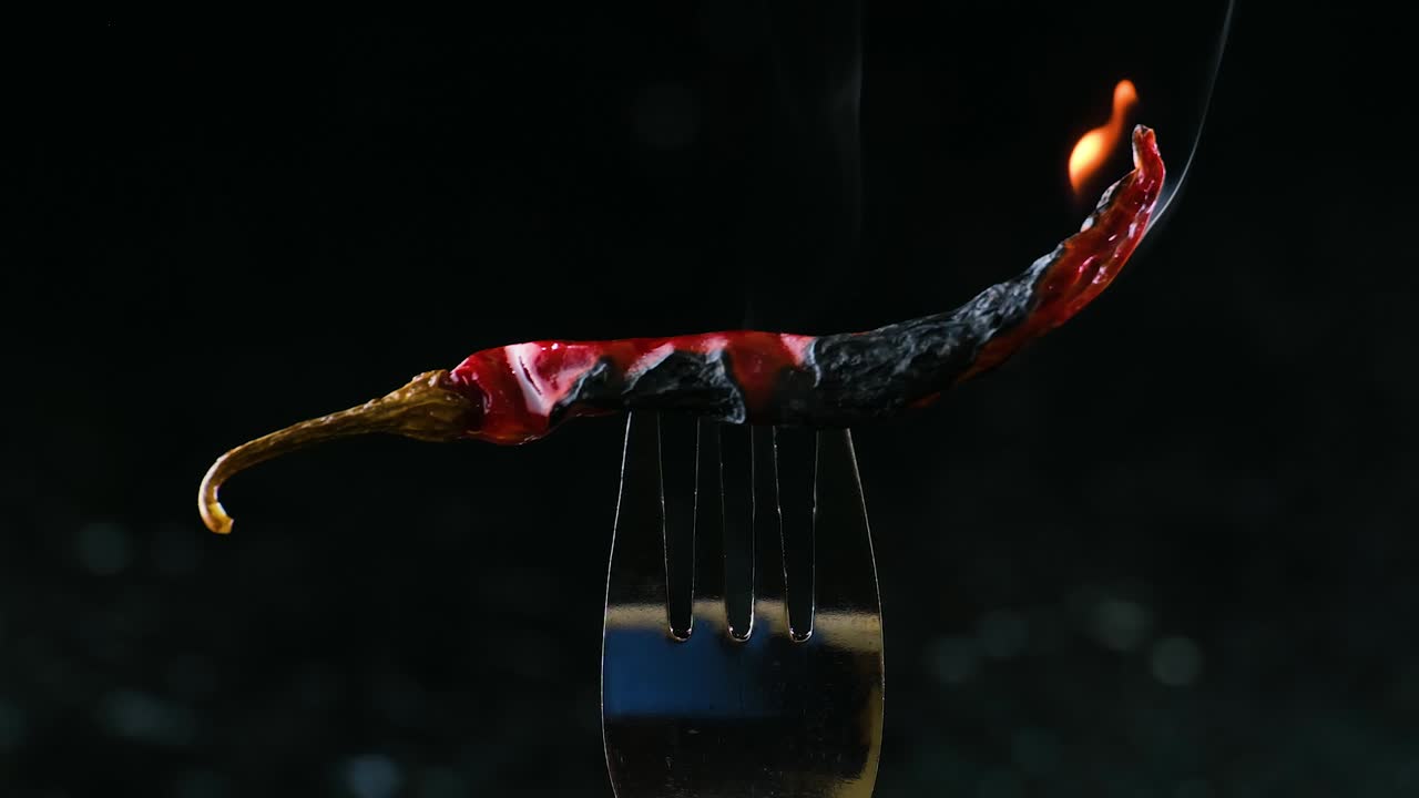 불타는 칠리 페퍼: 포크에 담배를 피우고 태우는 - 매운 빨간 인도 칠리 페퍼 -  ⁇  아웃