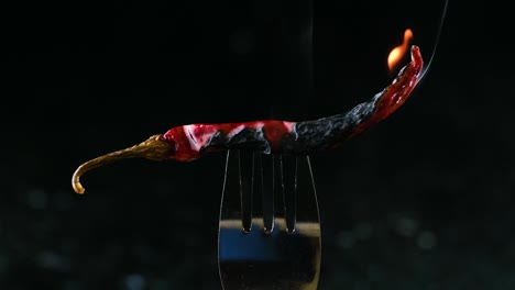 fiery chili pepper: smoking and burning on fork - spicy red indian chili pepper - zoom-out