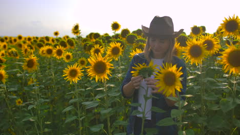 the farmer girl is watching and touching the sunflowers. she enjoys the great weather in the sunflower field. beatifull day in nature.