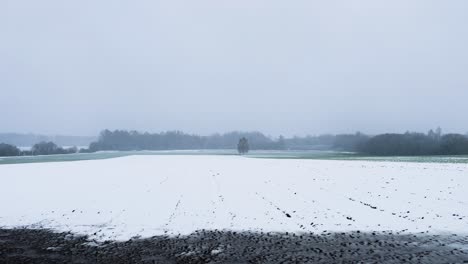 Sudden-blizzard-on-April-cover-agricultural-field-with-snow,-Latvian-spring