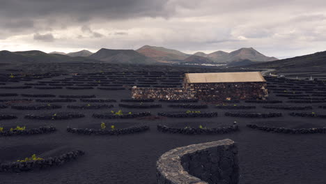 Volcanic-Vineyards-with-beautiful-little-stone-house-and-mountains-in-background-in-Lanzarote-Spain