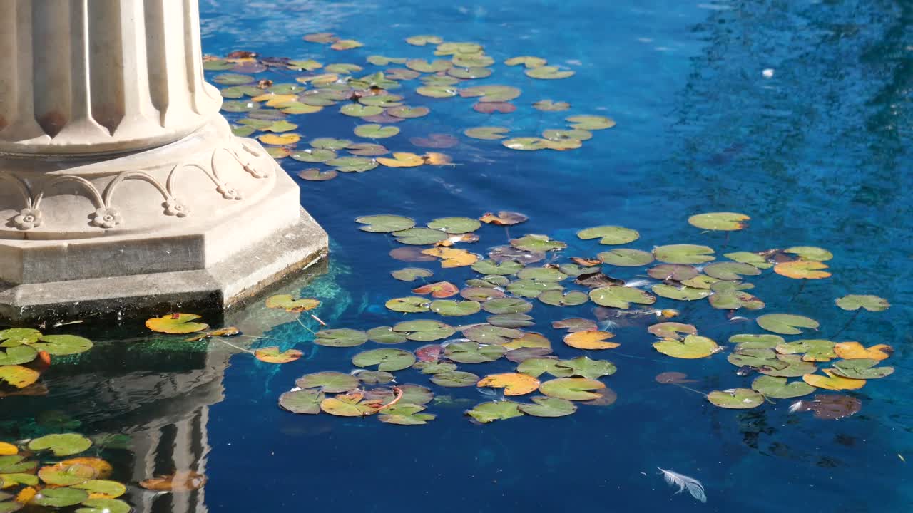 Ancient Column and Lily Pads in a Fountain