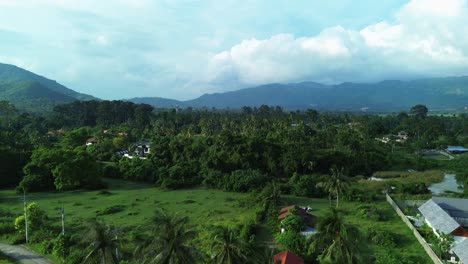 koh samui thailand green nature rainforest jungle vegetation southeast asia aerial drone