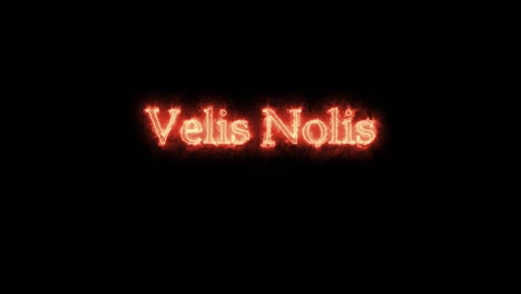 velis nolis written with fire. loop