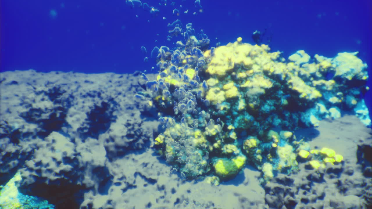 Colorful coral reef teeming with life in clear blue underwater depths