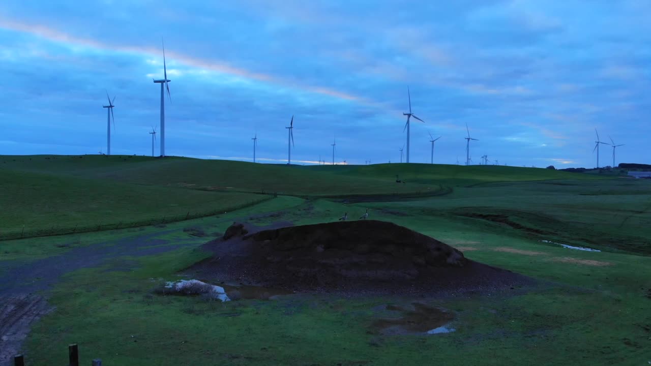 toma de molinos de viento al amanecer con pájaros volando