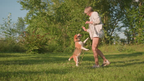dog owner dancing joyfully before dog, with dog watching and jumping excitedly towards owner as she offers treat, all happening in lush green garden surrounded by trees under sunny weather