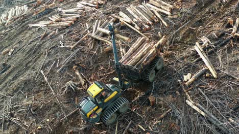 steep trail logging: drone captures forwarder loading timber