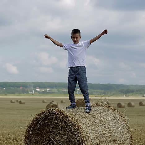 niño pequeño en el campo