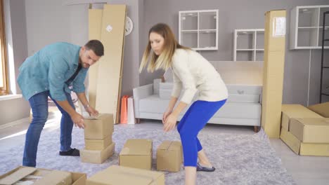 a young couple brings boxes to a new flat and they get to work.