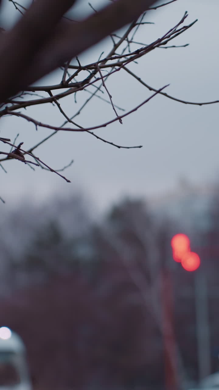 눈에 보이는 자동차 헤드라이트와 신호등과 함께 하 버스와 다른 자동차가 지나가는 밤에 도시 거리의 흐릿한 시각