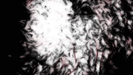 resonancia de la señal de vibración dura que contrasta la distorsión caótica dispersa abstracta