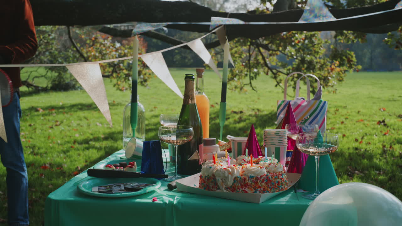Outdoor Birthday Celebration in a Park