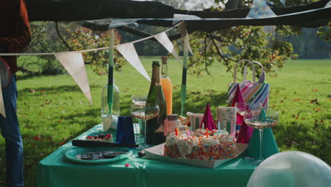 outdoor birthday celebration in a park