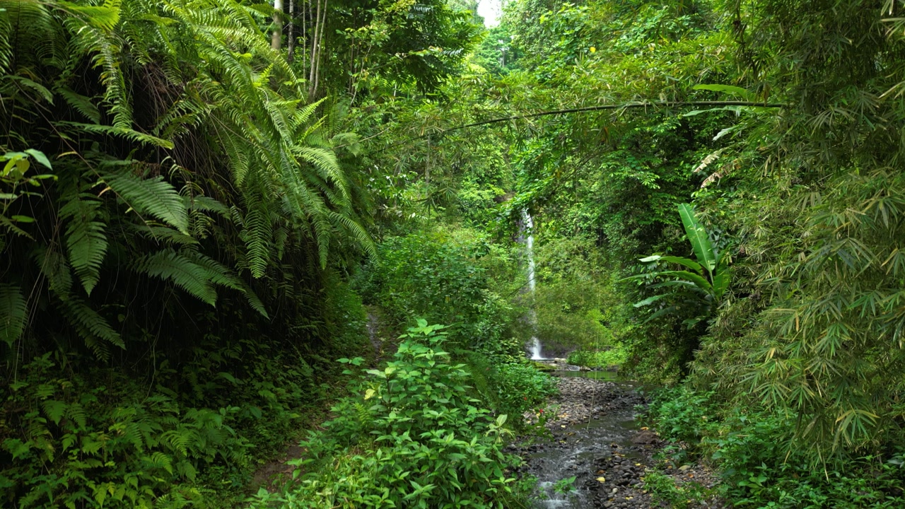 Aerial ascending shot in front of the Bombaim waterfall in jungles of Sao Tome