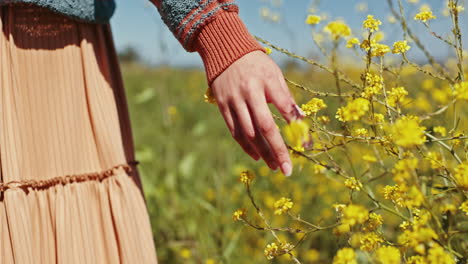 hand, field and flowers in closeup