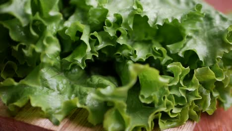 fresh green salad lettuce on wooden table ,