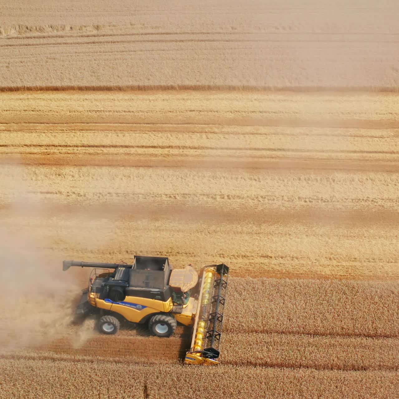 Aerial shot of combine harvesting agriculture. Farming combine concept