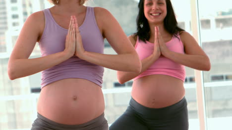 pregnant women doing yoga in fitness studio