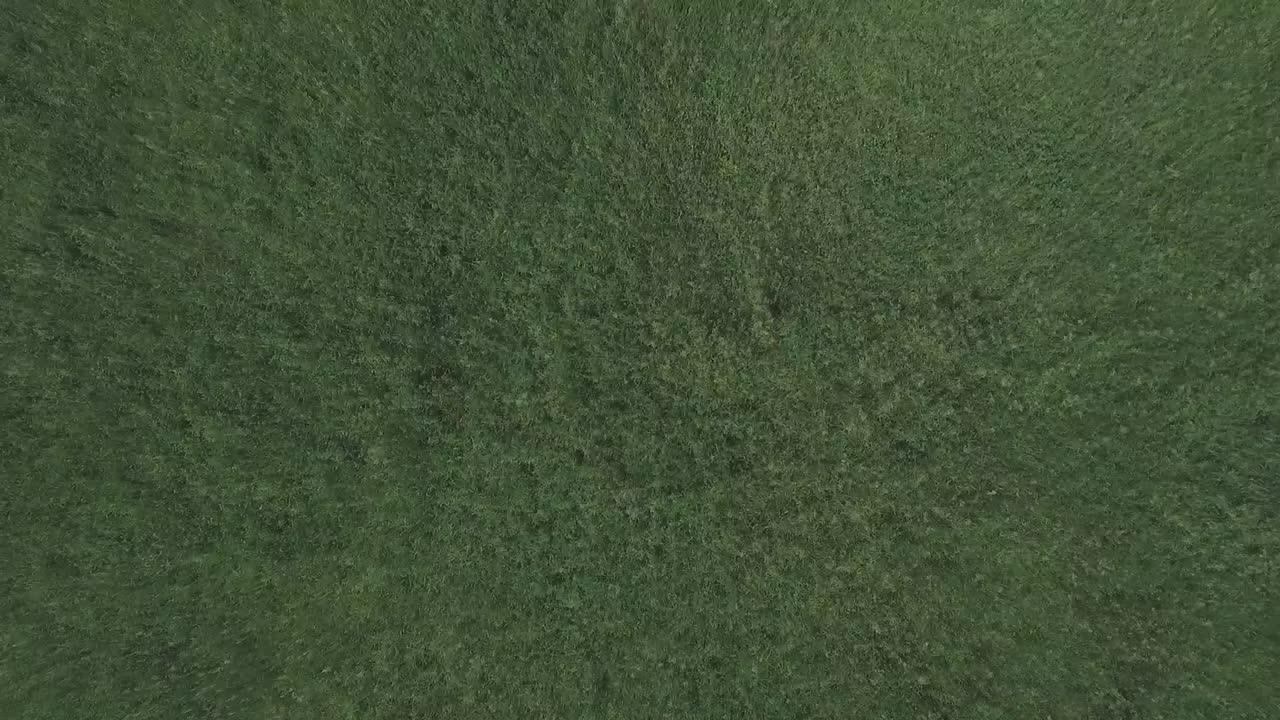 vista aérea de un campo de hierba