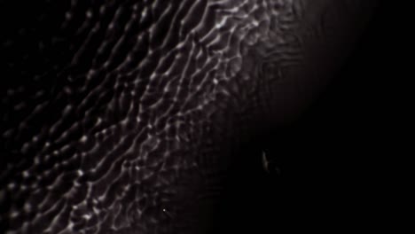 reflexión de la luz de la textura de la reacción fluida de fondo de la onda de agua negra y blanca