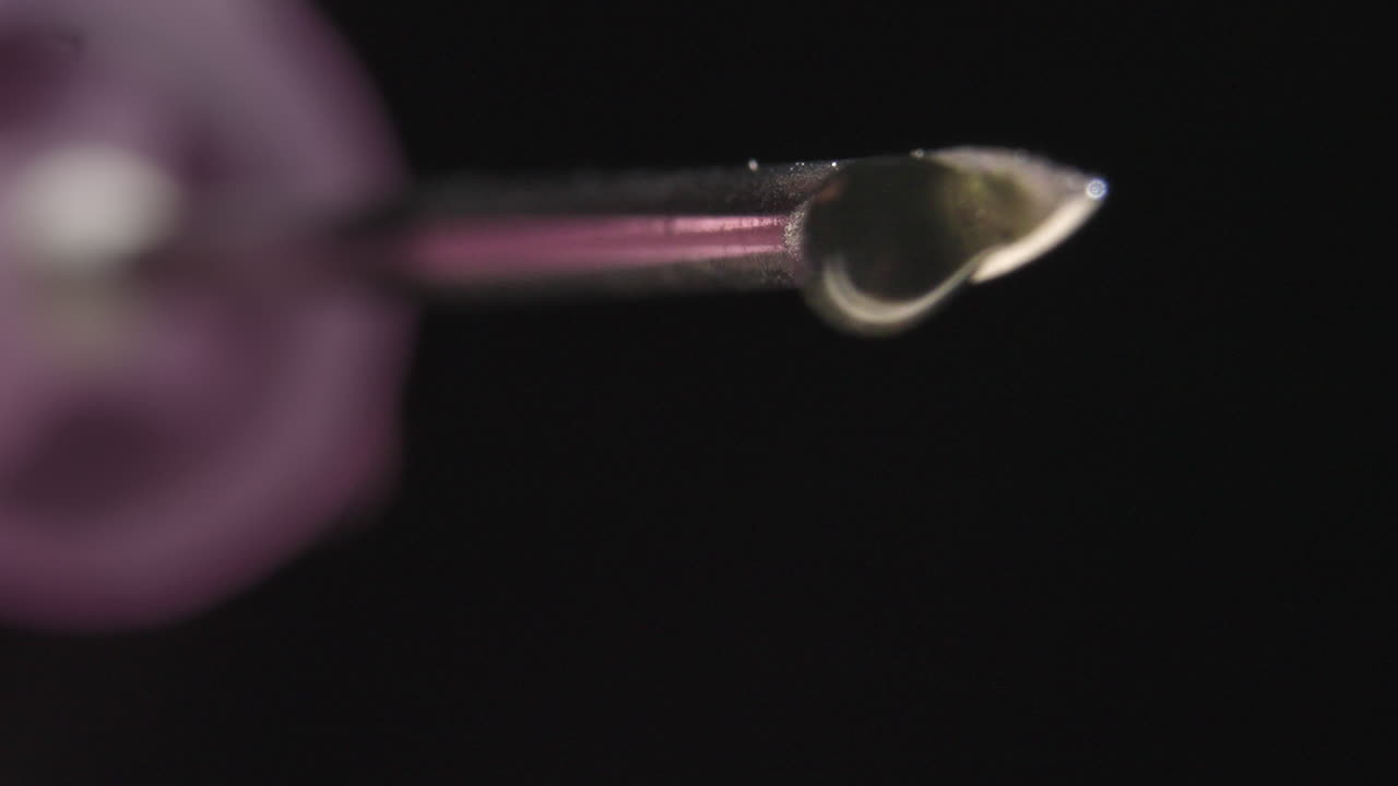 primer plano extremo de las gotas de líquido que caen de la punta de la aguja hipodérmica
