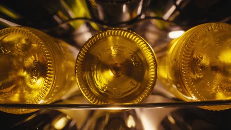 close-up of wine bottles in a wine rack