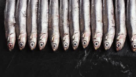 fresh anchovies