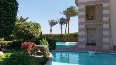 swimming pool, sun-loungers and palm trees during a warm sunny day, paradise destination for vacations. backyard swimming pool with garden full of palm trees and flowers. backyard with swimming pool