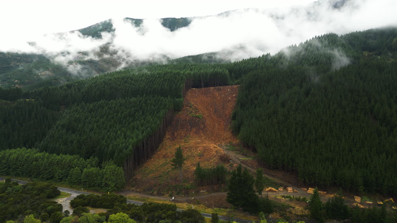 新西蘭馬爾伯勒的森林砍伐場景, 無人機從空中拍攝