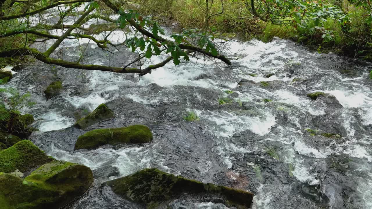 A View Of A Huge River Stream With Water Rushing Over Mossy Rocks