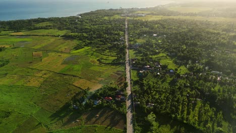 scenic aerial flyover of provincial highway road amid lush greenery and rice fields at tropical island catanduanes, philippines.
