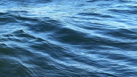 close-up of vibrant blue ocean waves gently rippling