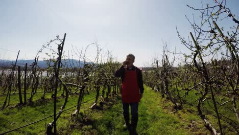 Farmer-talking-on-mobile-phone-while-walking-through-vineyard-4k