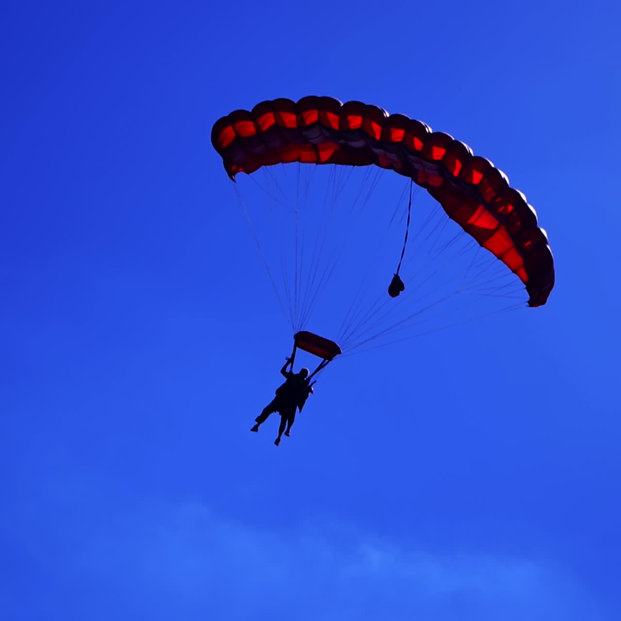 Orang-orang melakukan tandem jump dengan parasut. Pasangan dengan parasut merah di langit biru berawan. Sudut pandang rendah