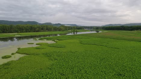 river landscape with lush vegetation