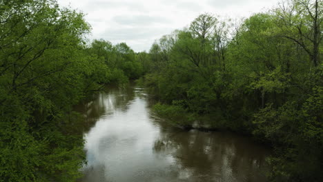 flying through quiet, riparian wilderness protected by the nature conservancy