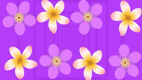 animation of purple and yellow flowers spinning over purple background