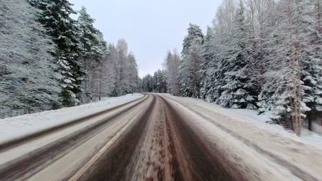 Gefrorene-Waldbaumlandschaft-Entlang-Der-Eisigen-Winterstraße,-Pov-Fahrfahrt