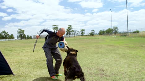 entrenador entrenando a un perro pastor en el campo 4k