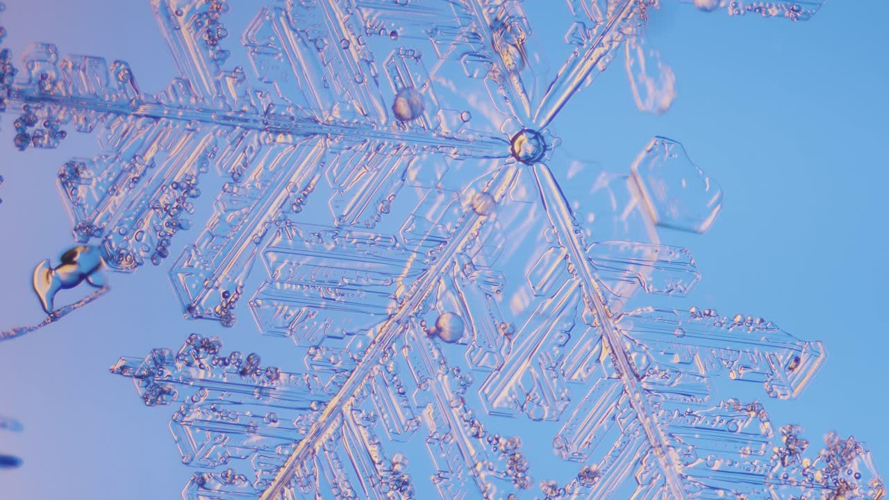 현미경 패닝 보기 파란색 배경 세부 정보에서 눈송이 닫기